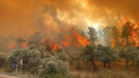 Dünya İçin Yeni Alarm: Sıcak Hava ve Orman Yangınları Hava Kalitesini Bozuyor
