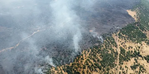 Elazığ’da Orman Yangını: Yaklaşık 140 Hektarlık Alan Zarar Gördü
